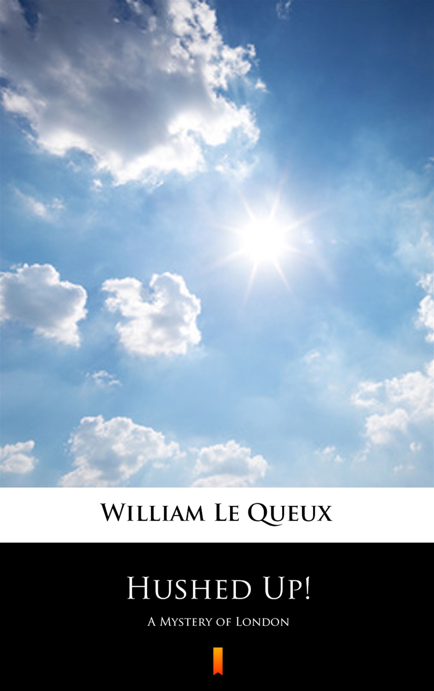 Hushed Up! (e-book)