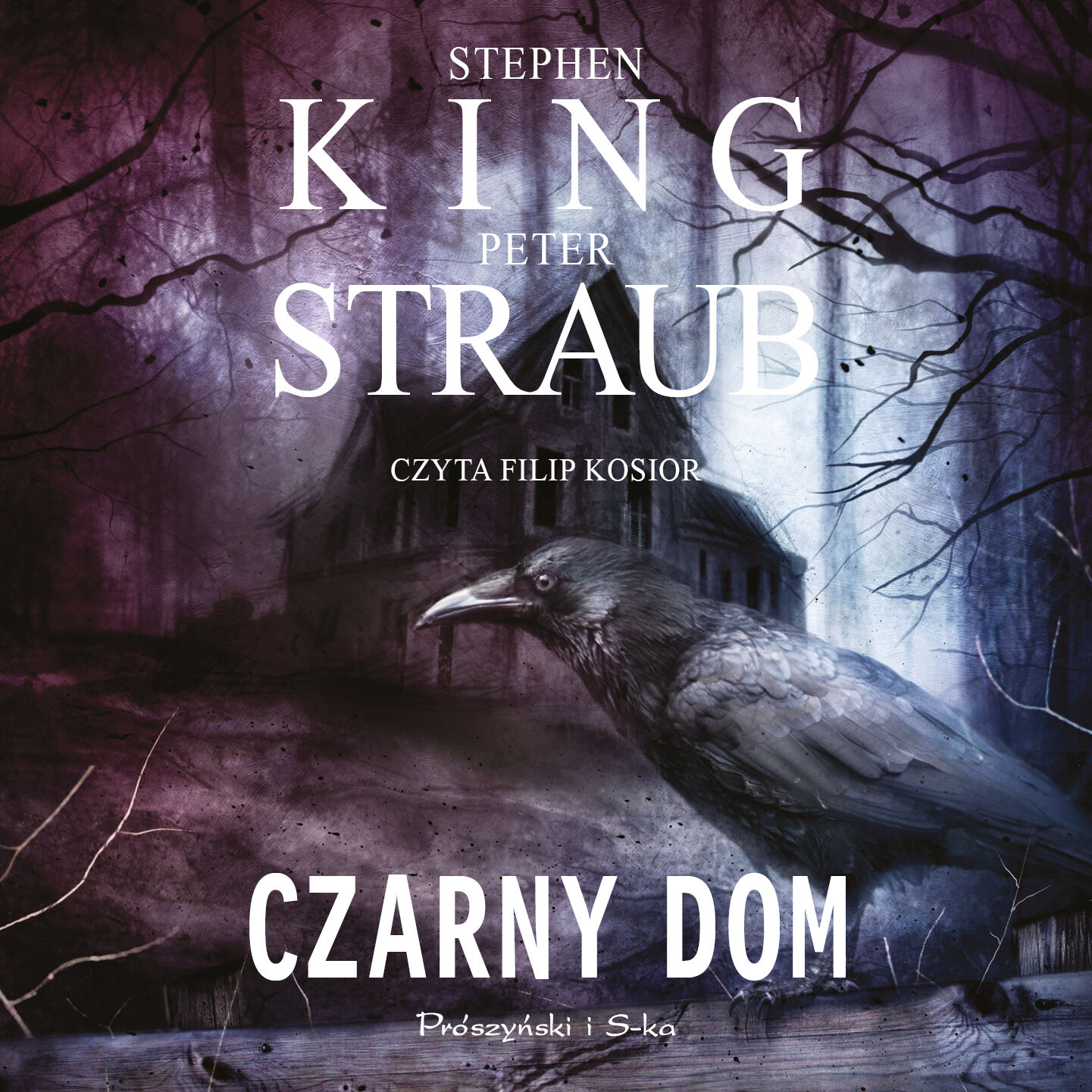 Czarny Dom (audiobook MP3)