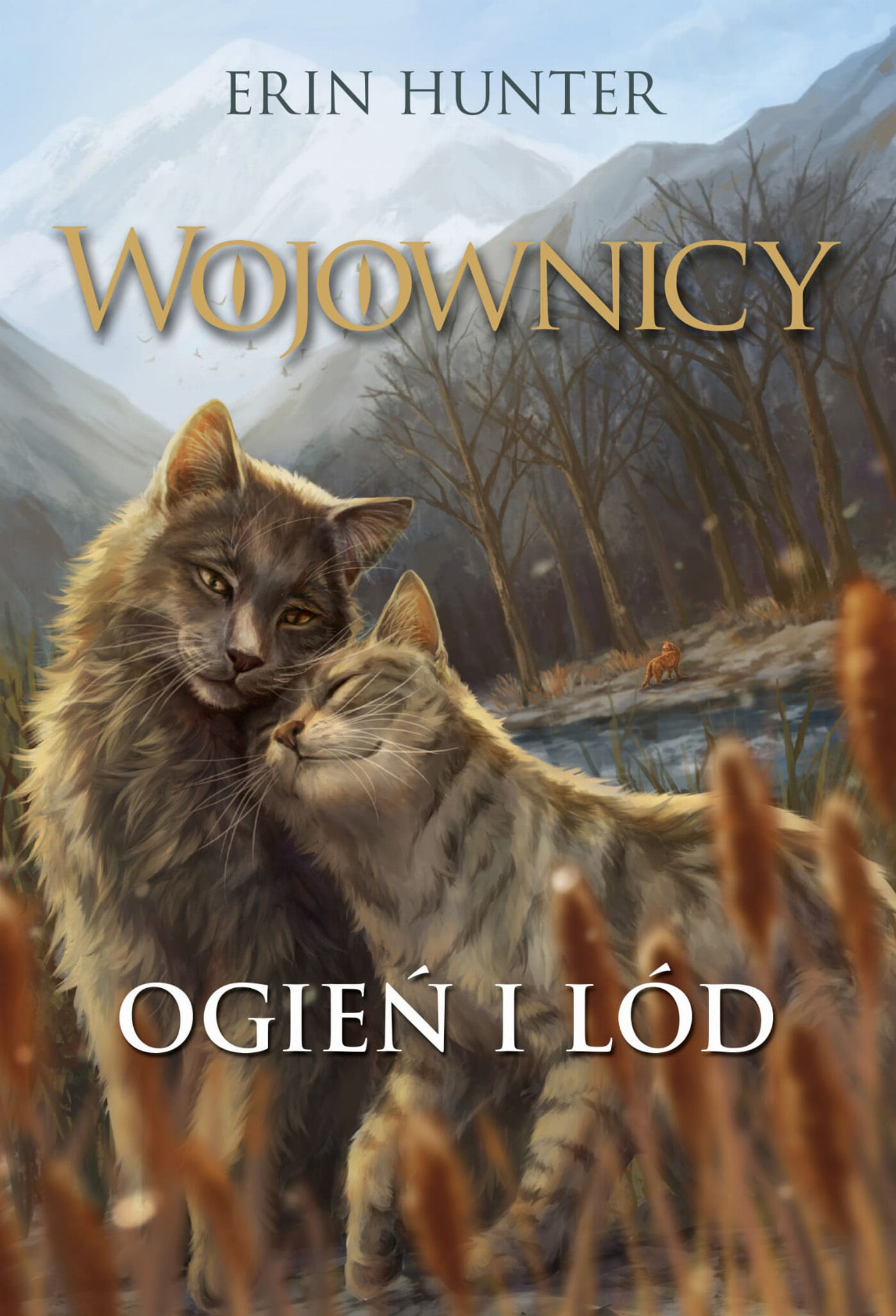 Ogień i lód TW. OPR./Nowa Baśń/