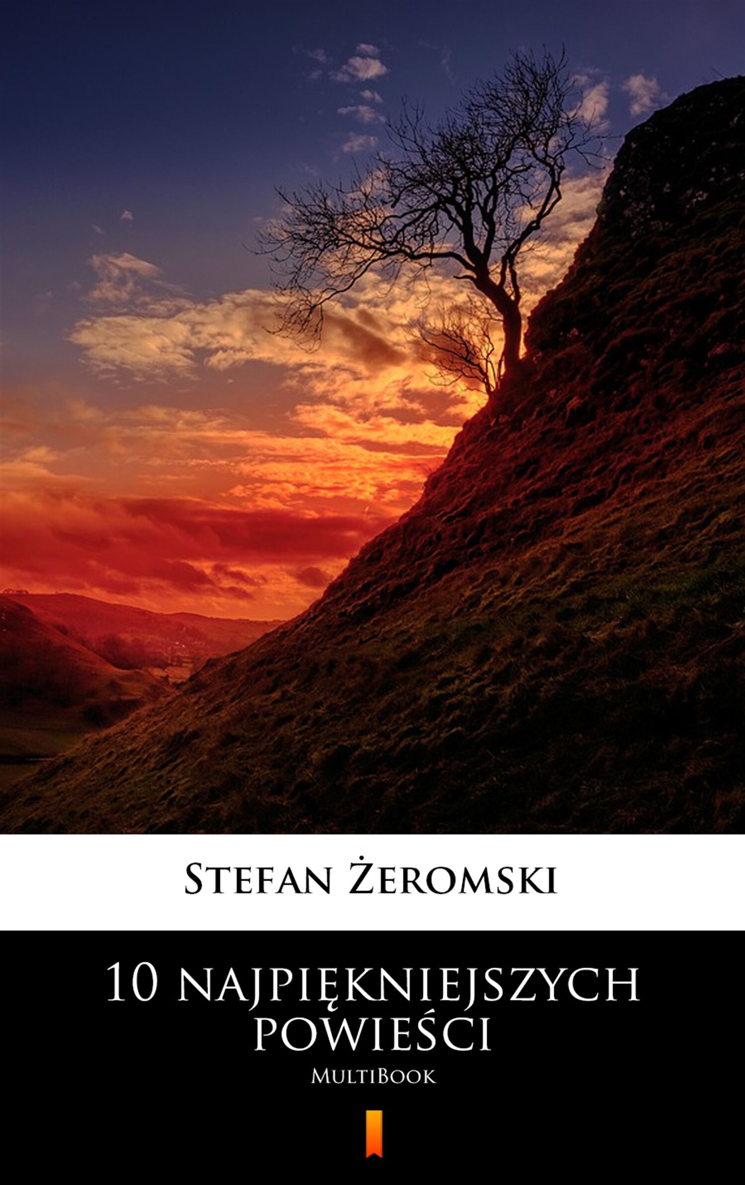10 najpiękniejszych powieści (e-book)