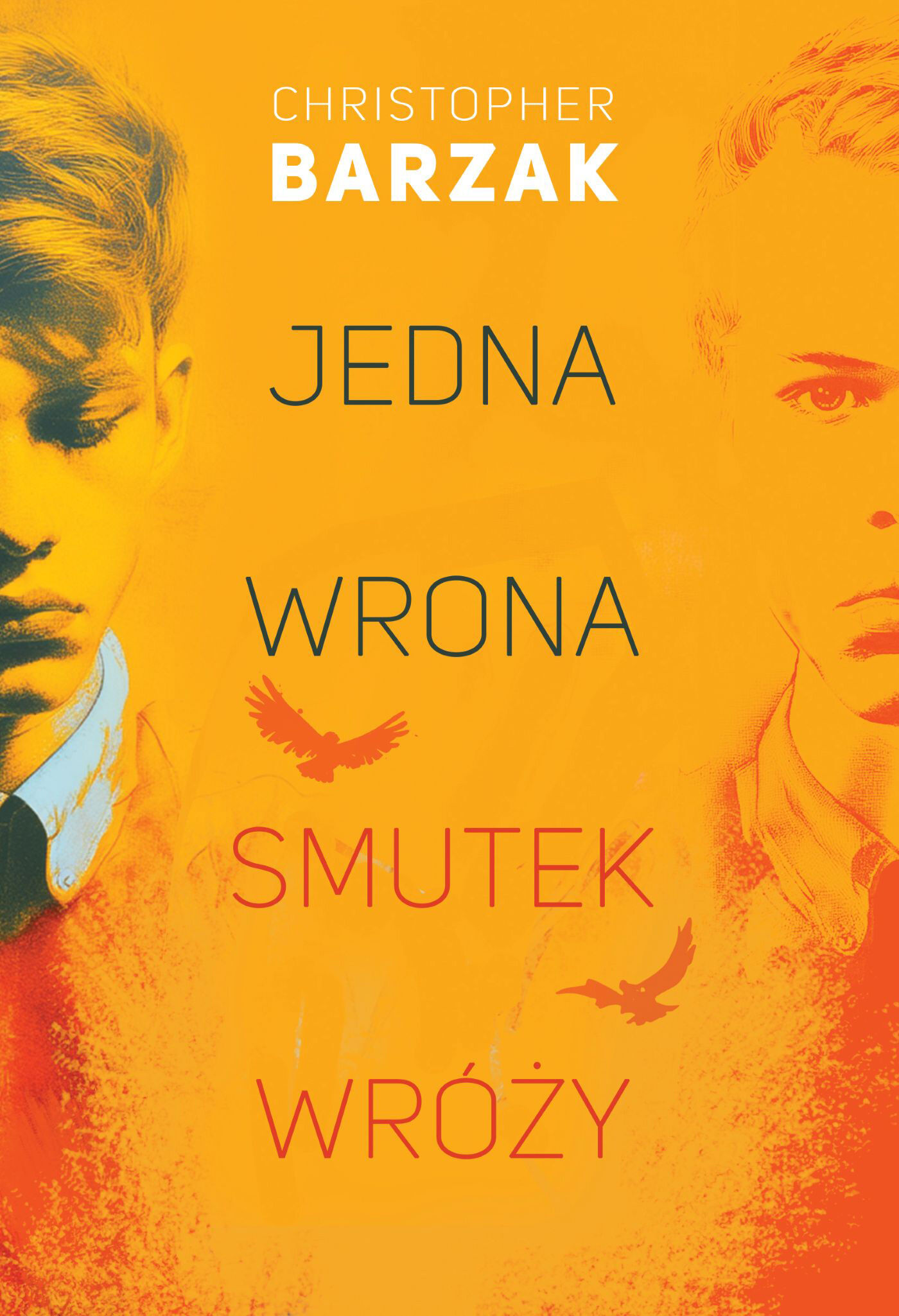 Jedna wrona smutek wróży (e-book)