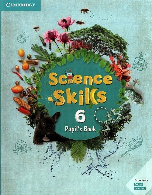 Science Skills 6 Pupil's Book
