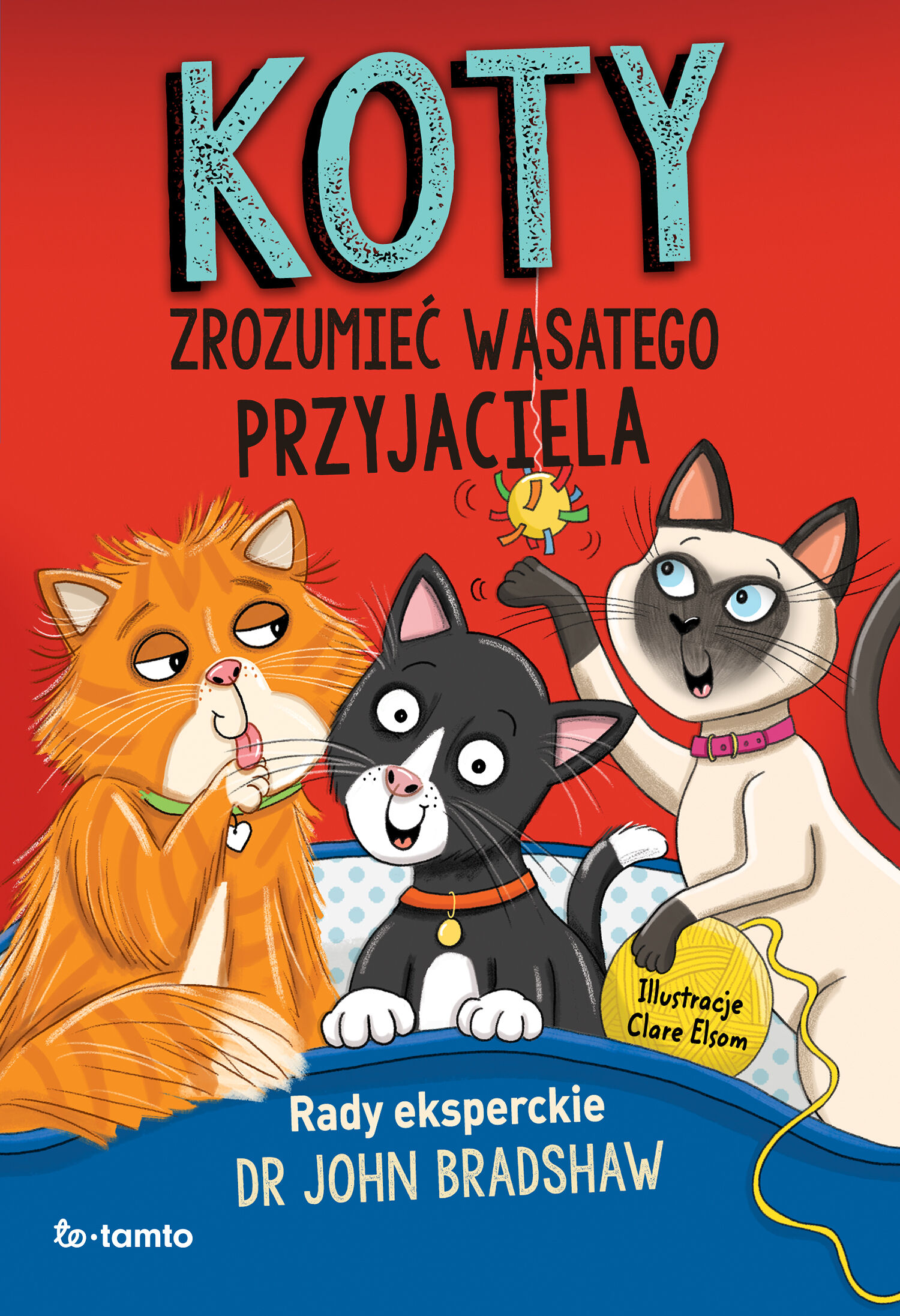 Koty (e-book)