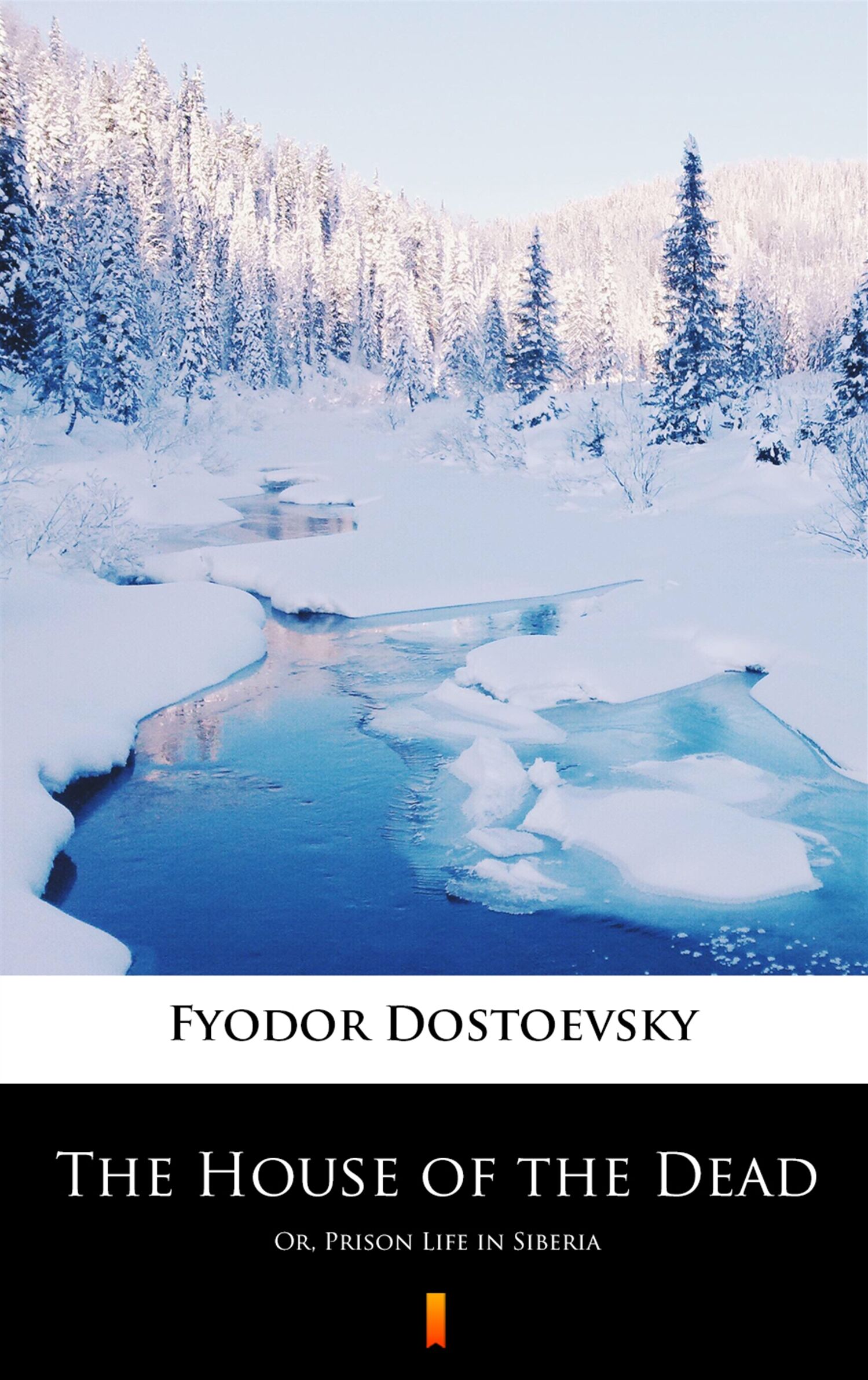 The House of the Dead (e-book)