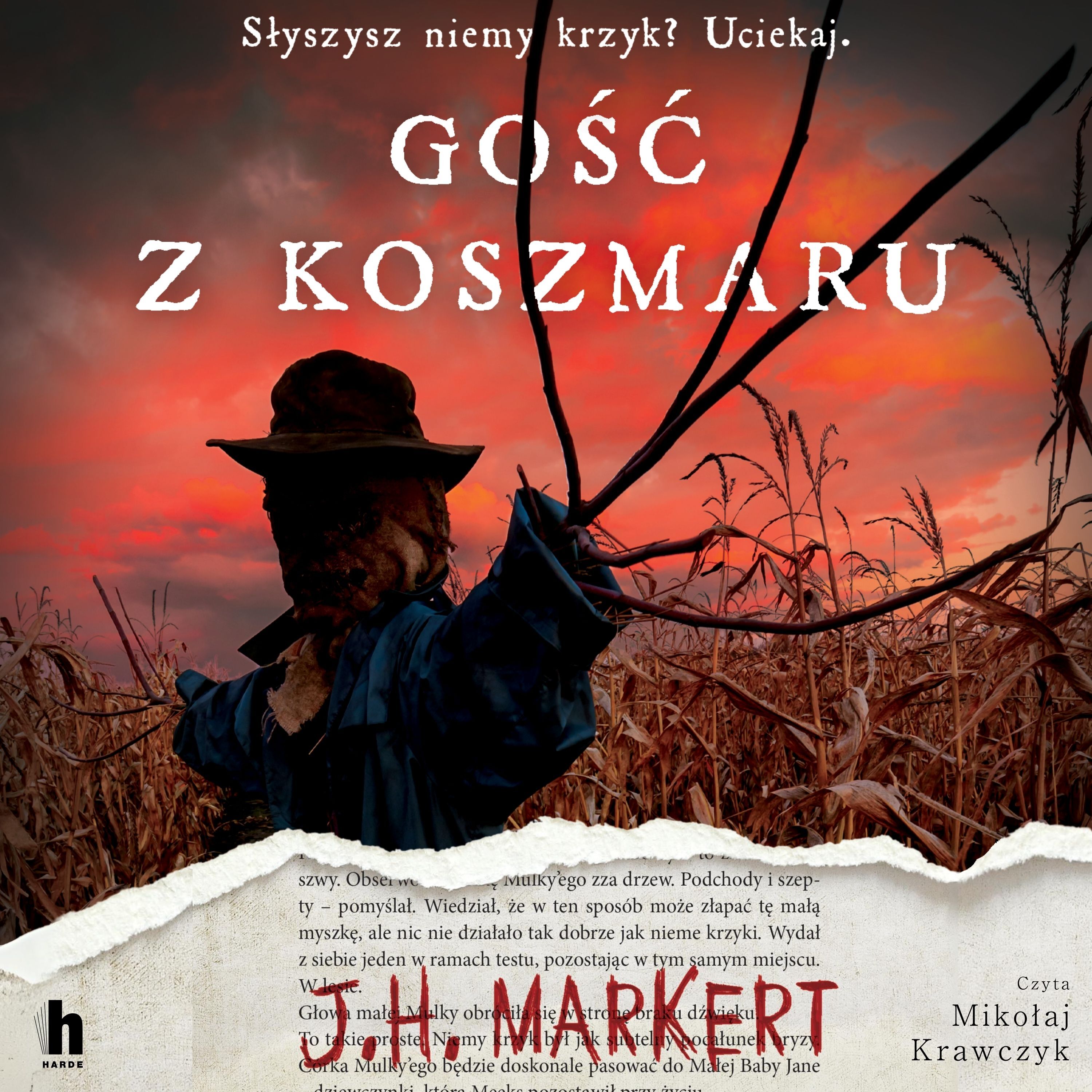 Gość z koszmaru (audiobook MP3)