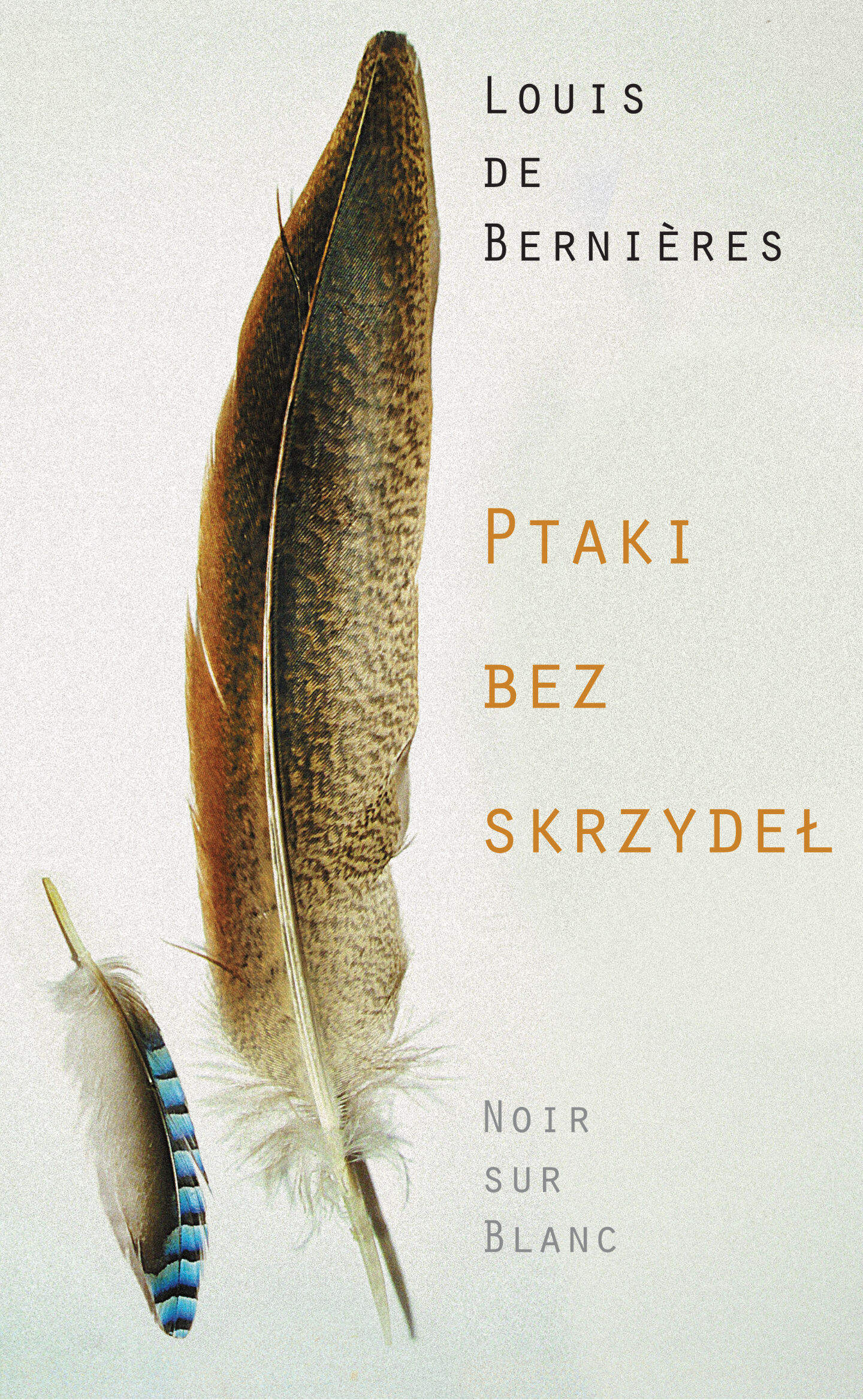 Ptaki bez skrzydeł (e-book)