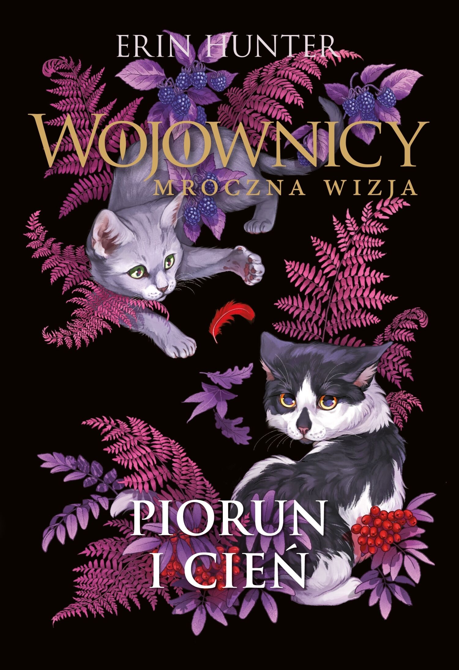 Piorun i cień (e-book)