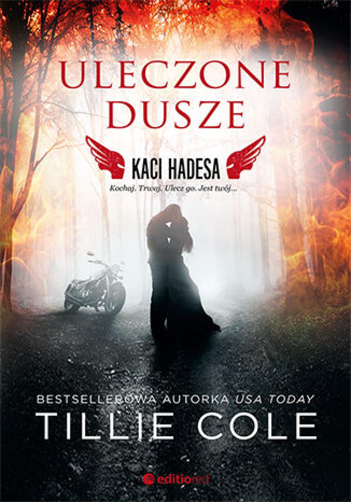 Uleczone dusze. Kaci Hadesa (e-book)