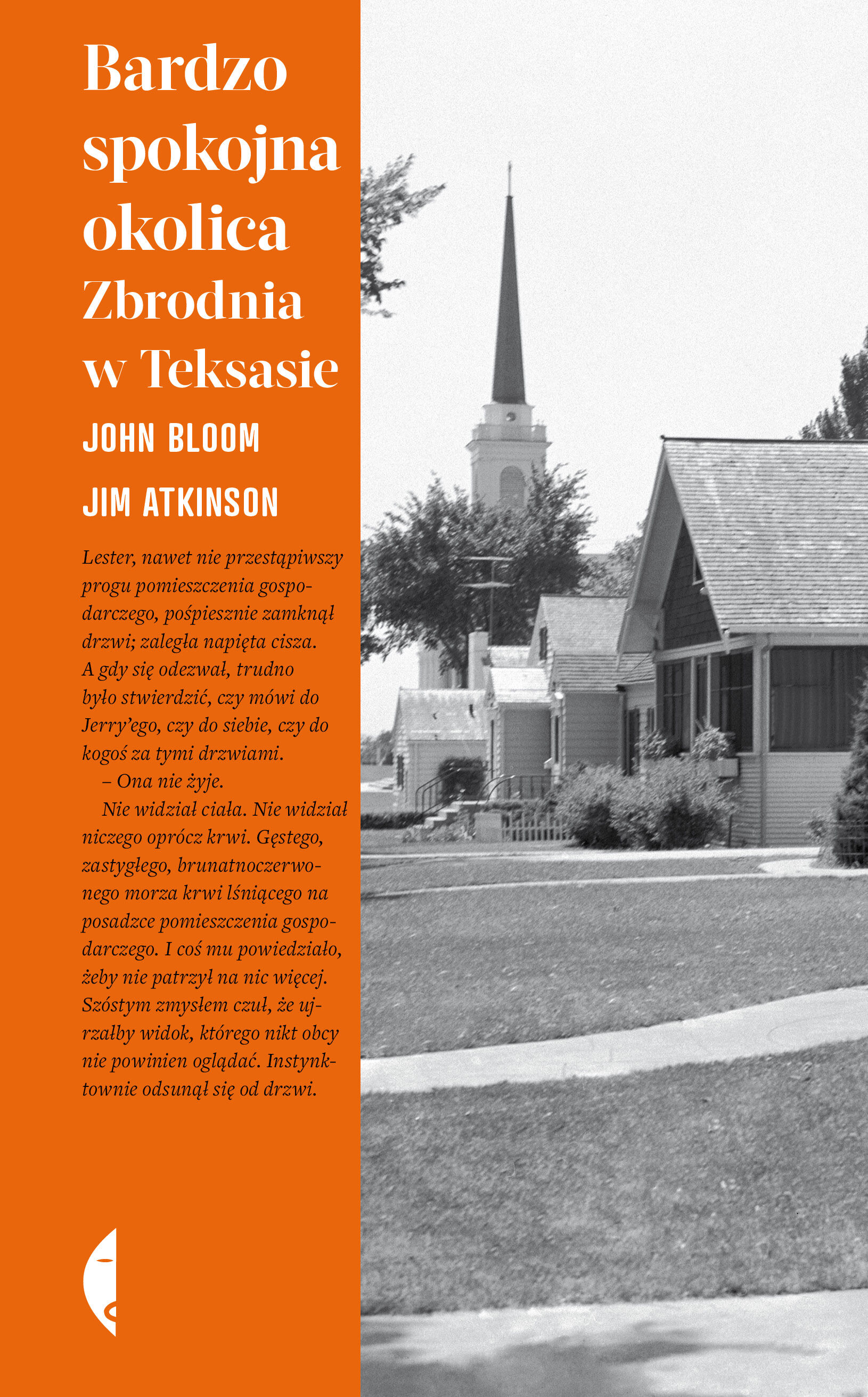 Bardzo spokojna okolica (e-book)