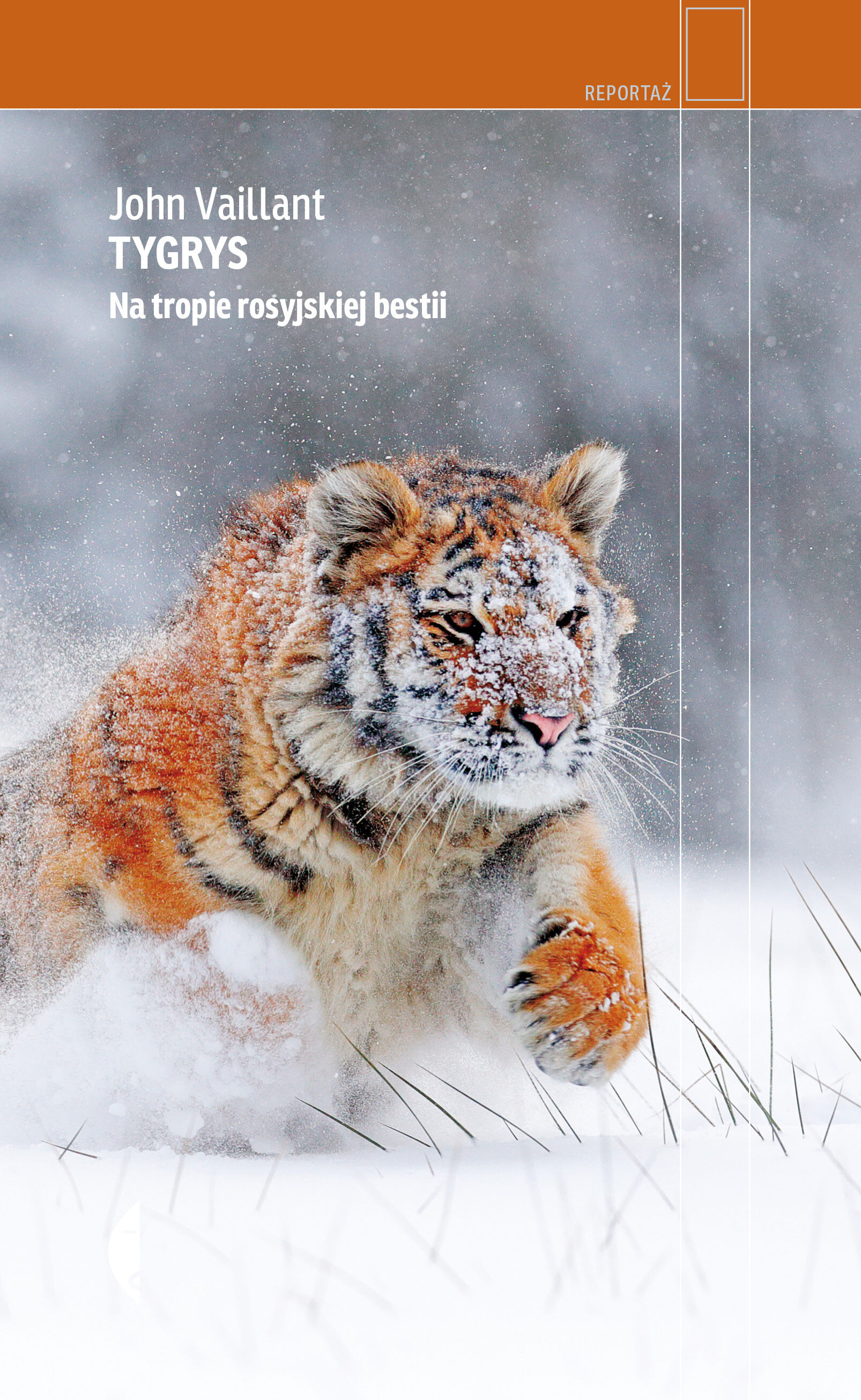 Tygrys (e-book)