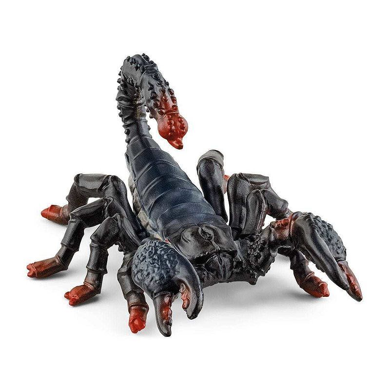 Skorpion cesarskislh14857