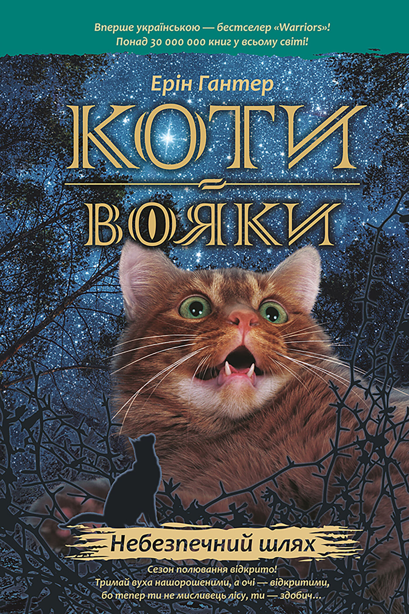 Небезпечний шлях (e-book)