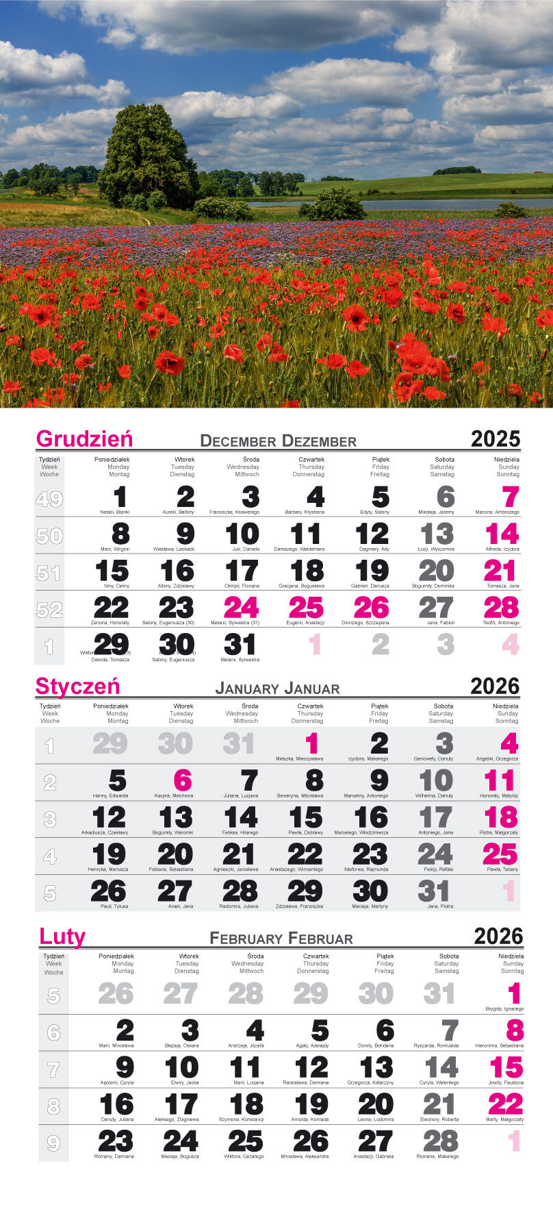 Kalendarz 2026 trójdzielny Maki