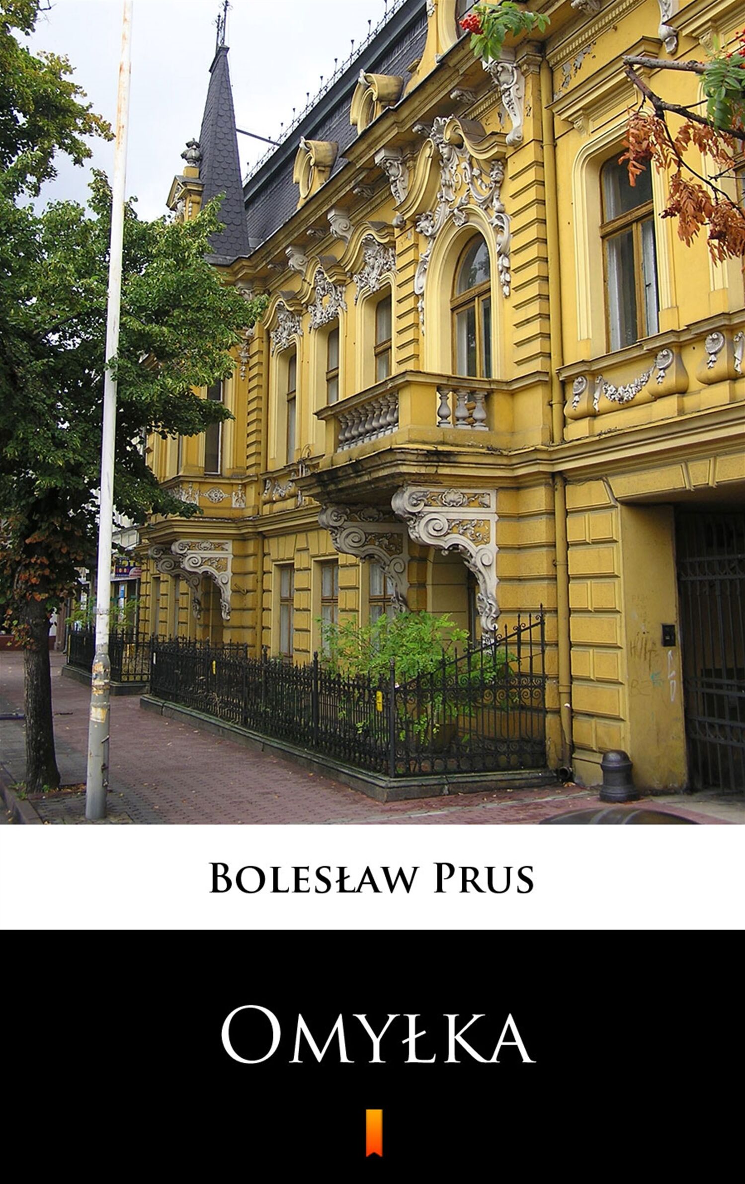 Omyłka (e-book)