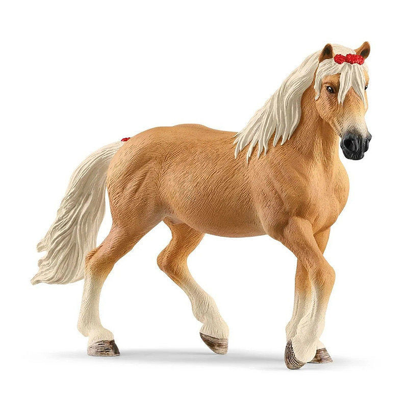 Klacz rasy haflinger slh13950