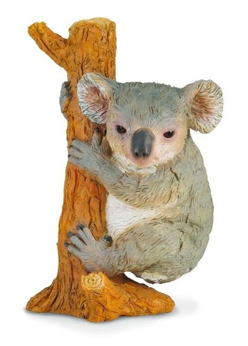 Miś koala wspinający się M