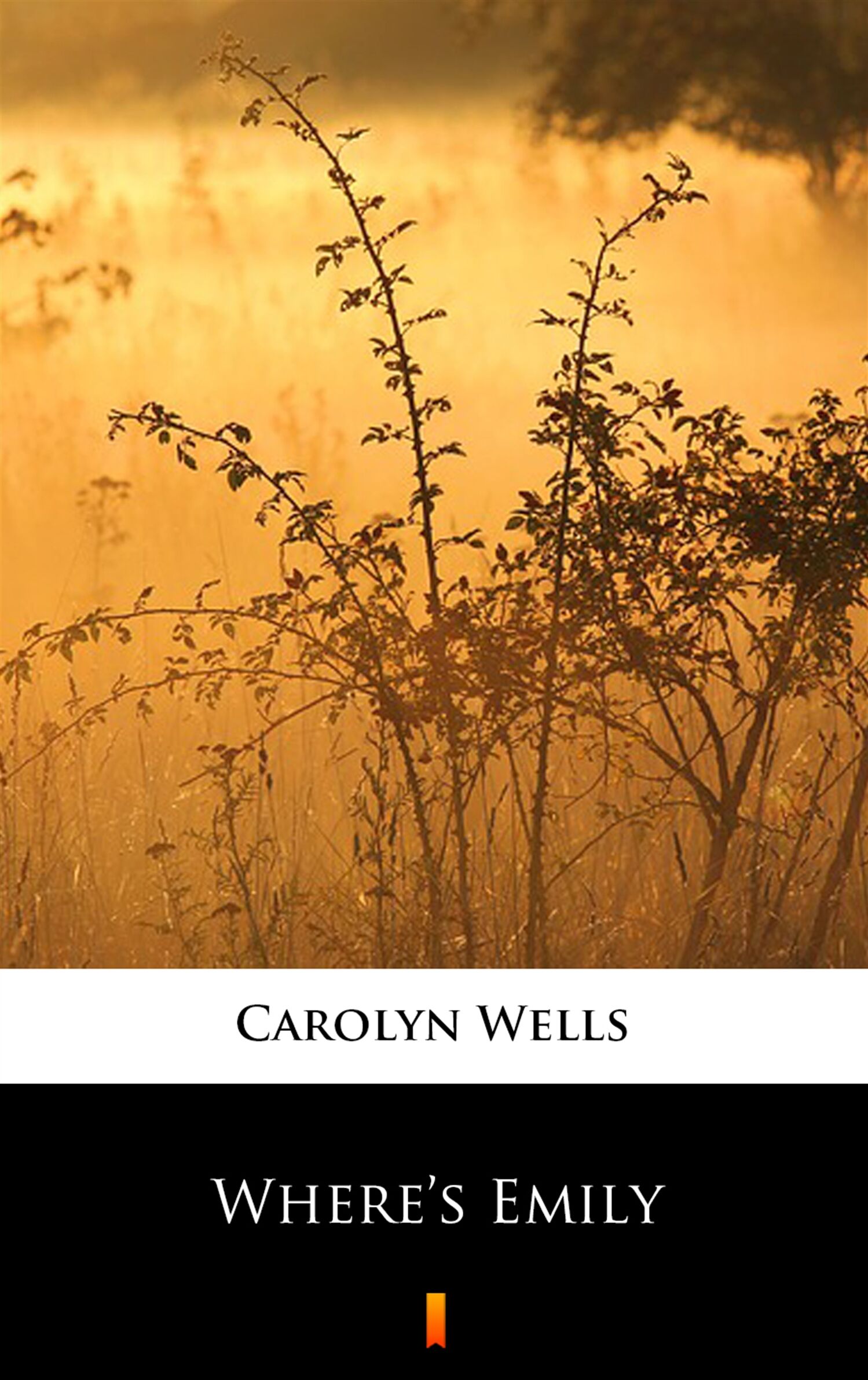 Where’s Emily (e-book)