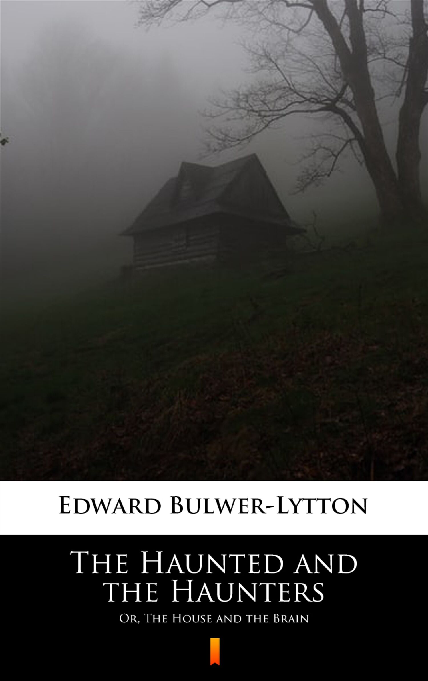 The Haunted and the Haunters (e-book)