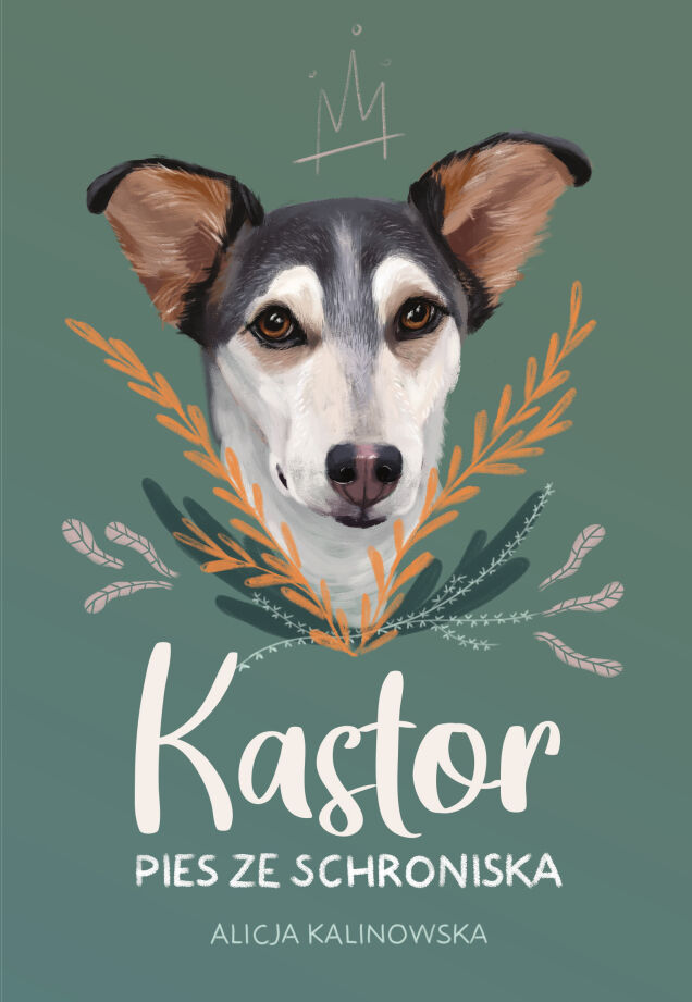 Kastor (e-book)