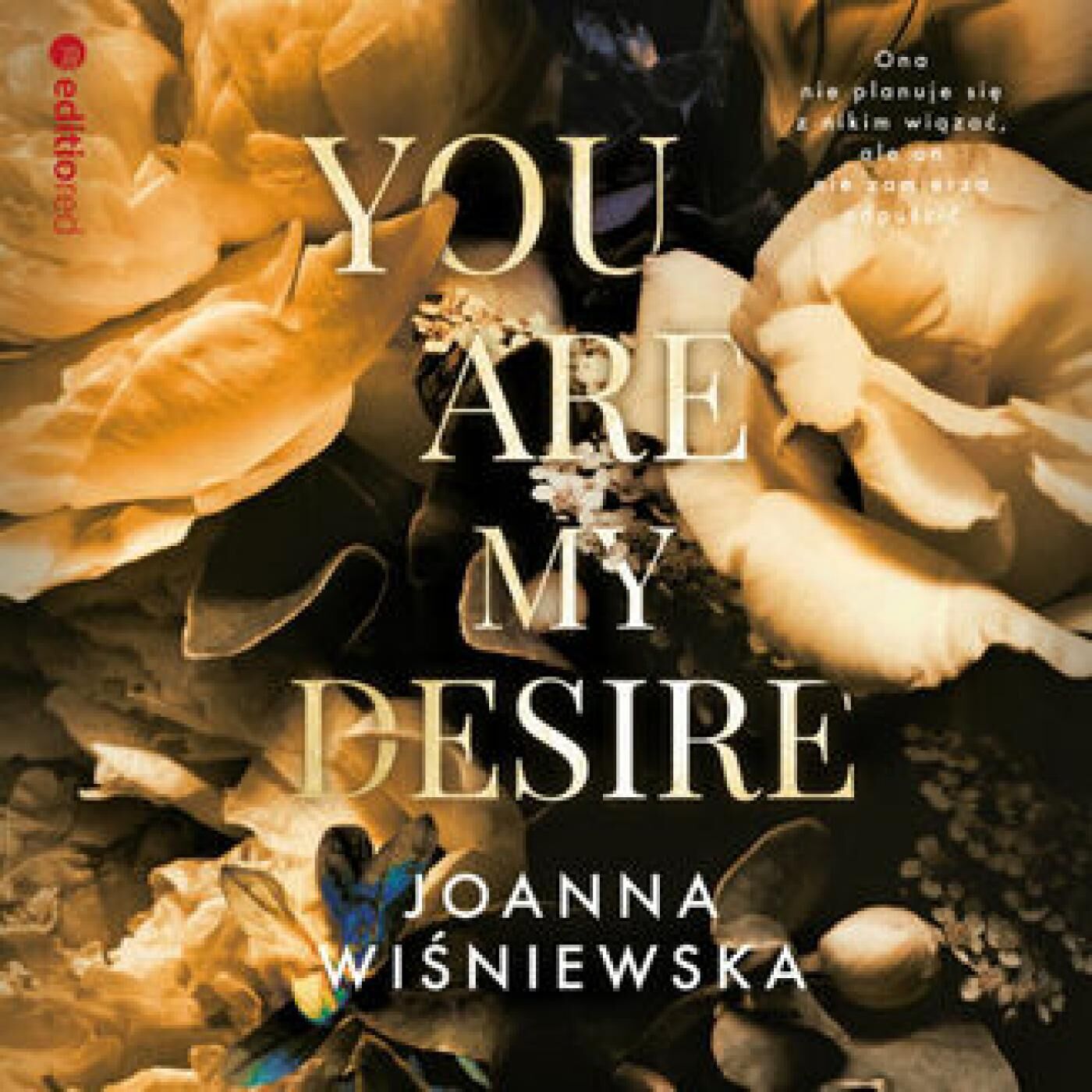 You are my desire (audiobook MP3)