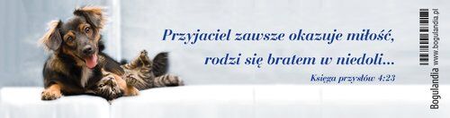Zakładka 11 do książki - Przyjaciel zawsze okazuje