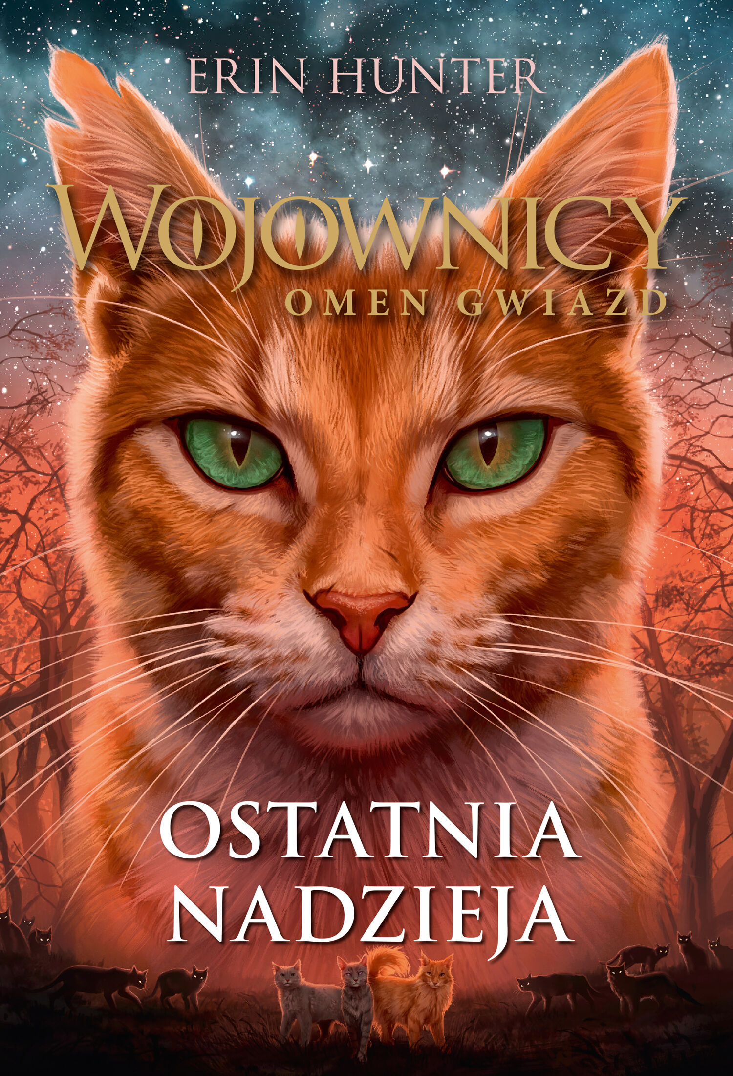 Ostatnia nadzieja (e-book)