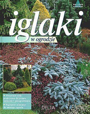 Iglaki w ogrodzie