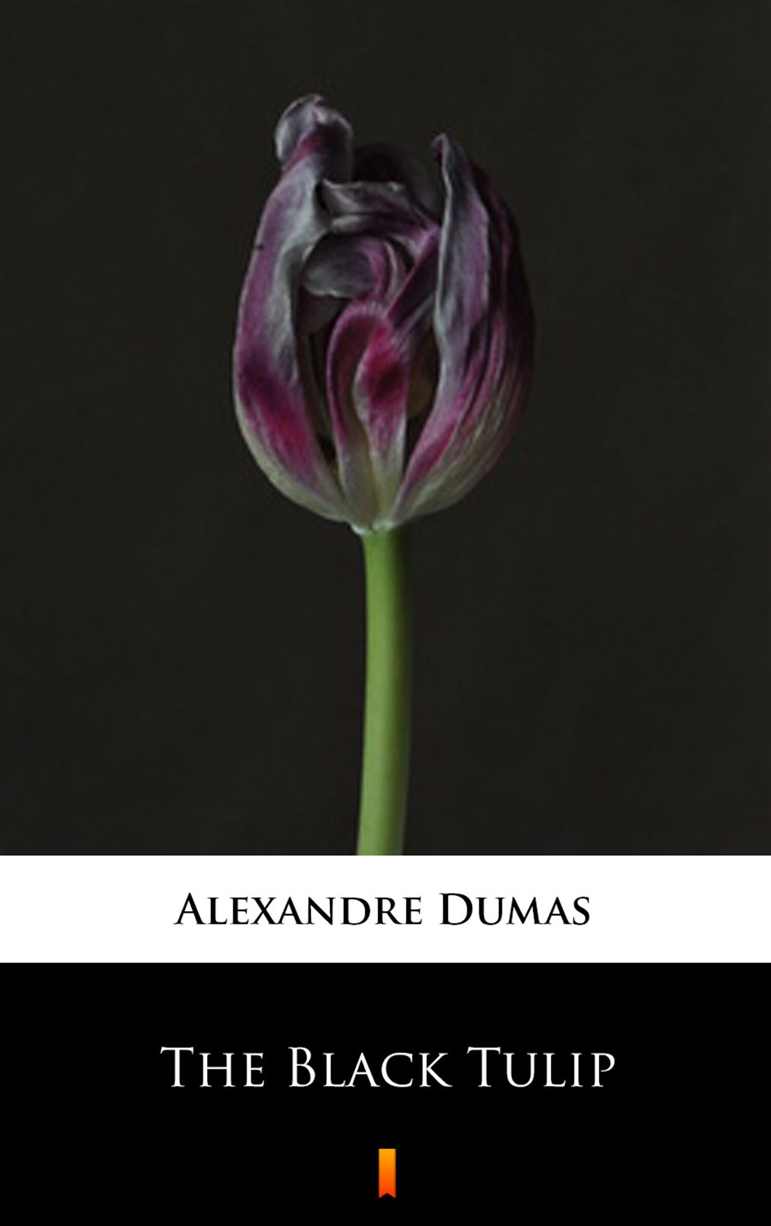 The Black Tulip (e-book)