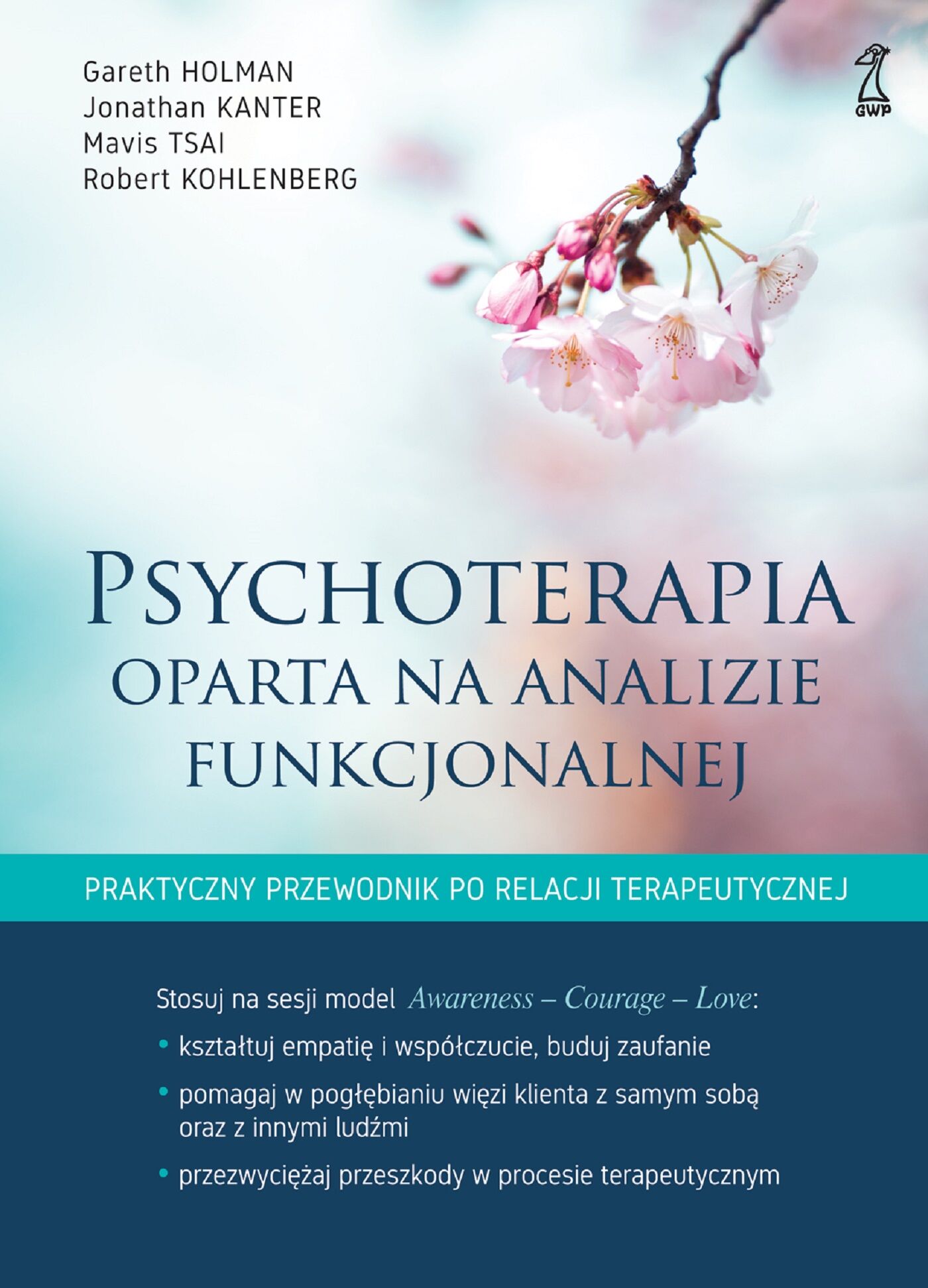 Psychoterapia oparta na analizie funkcjonalnej (e-book)