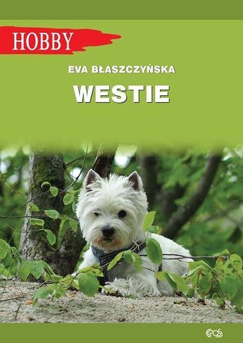 Westie. West highland white terrier wyd. 2