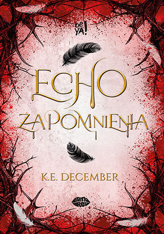 Echo zapomnienia