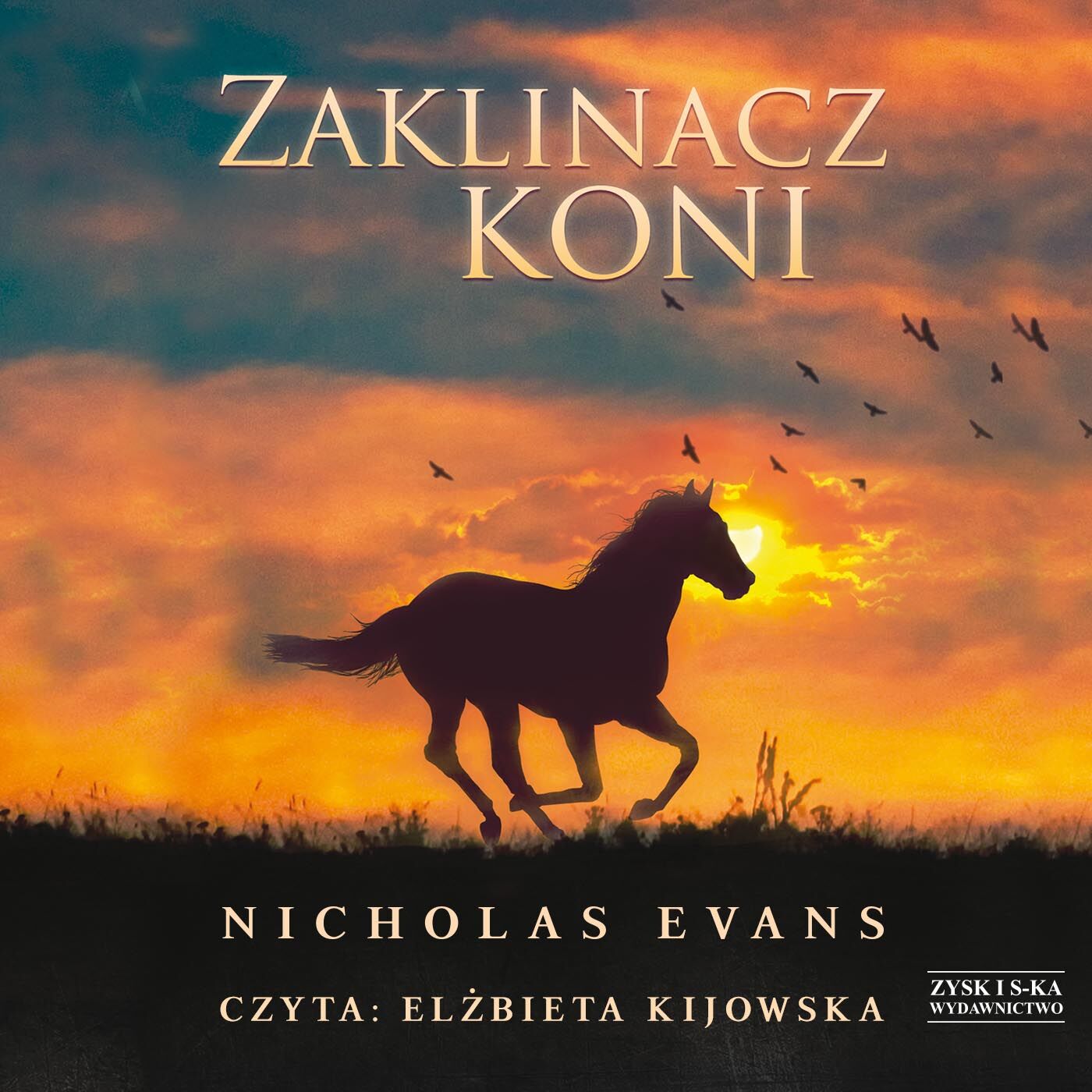 Zaklinacz koni (audiobook MP3)