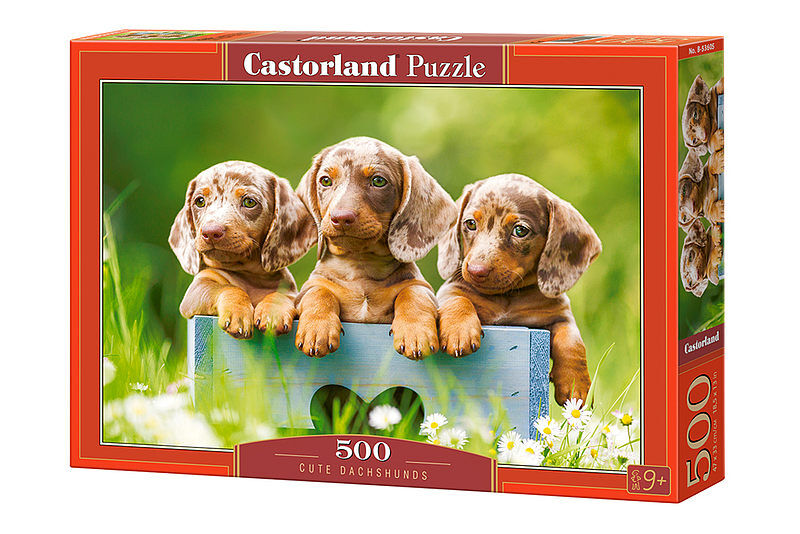 Puzzle 500 Cute Dachshunds