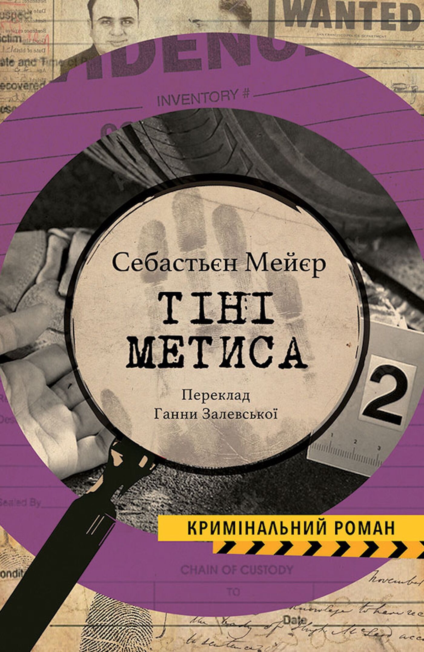 ТІНІ МЕТИСА (e-book)