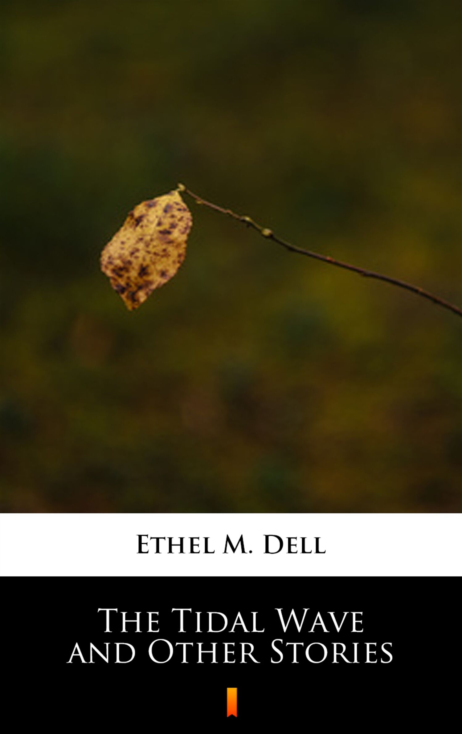 The Tidal Wave and Other Stories (e-book)