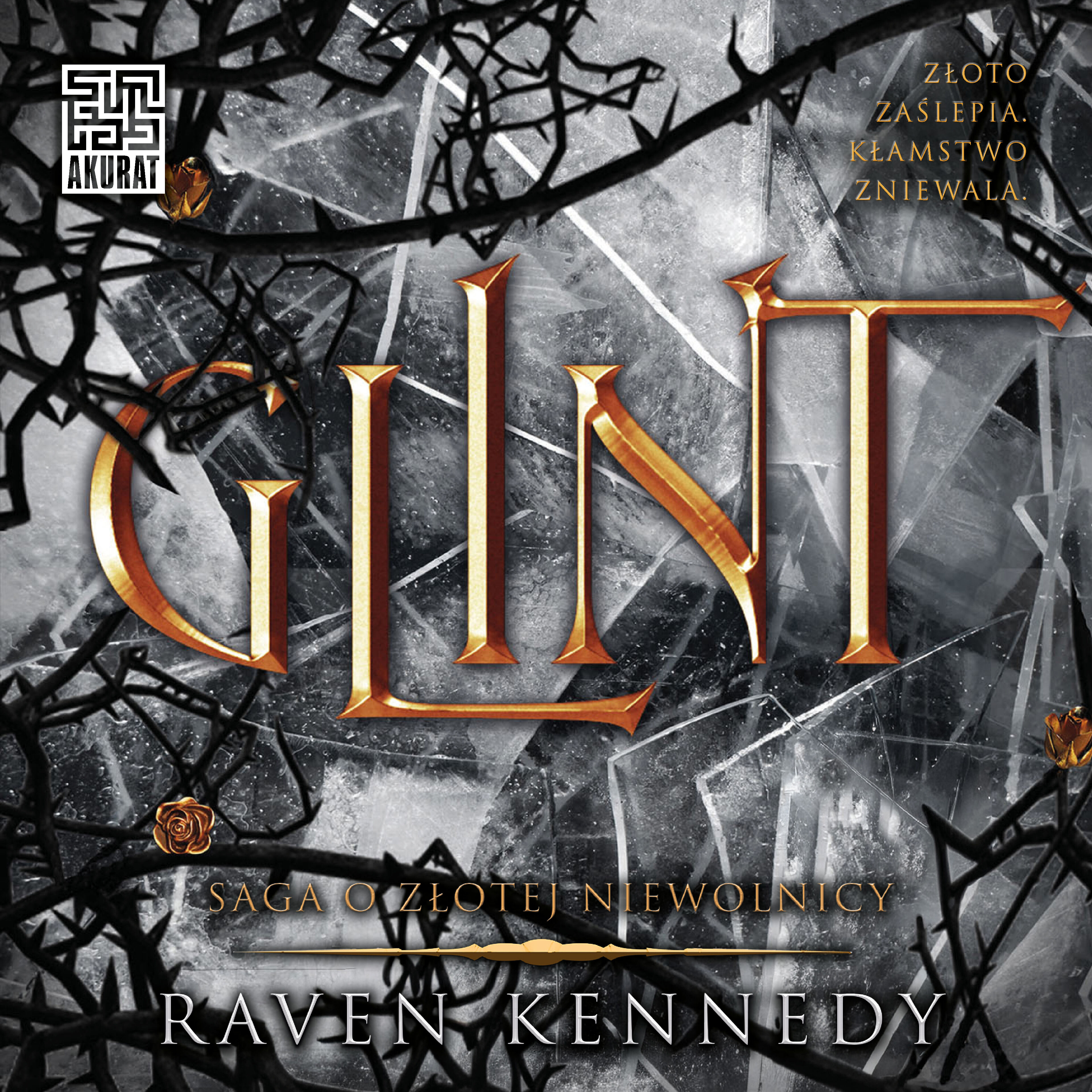 Glint (audiobook MP3)