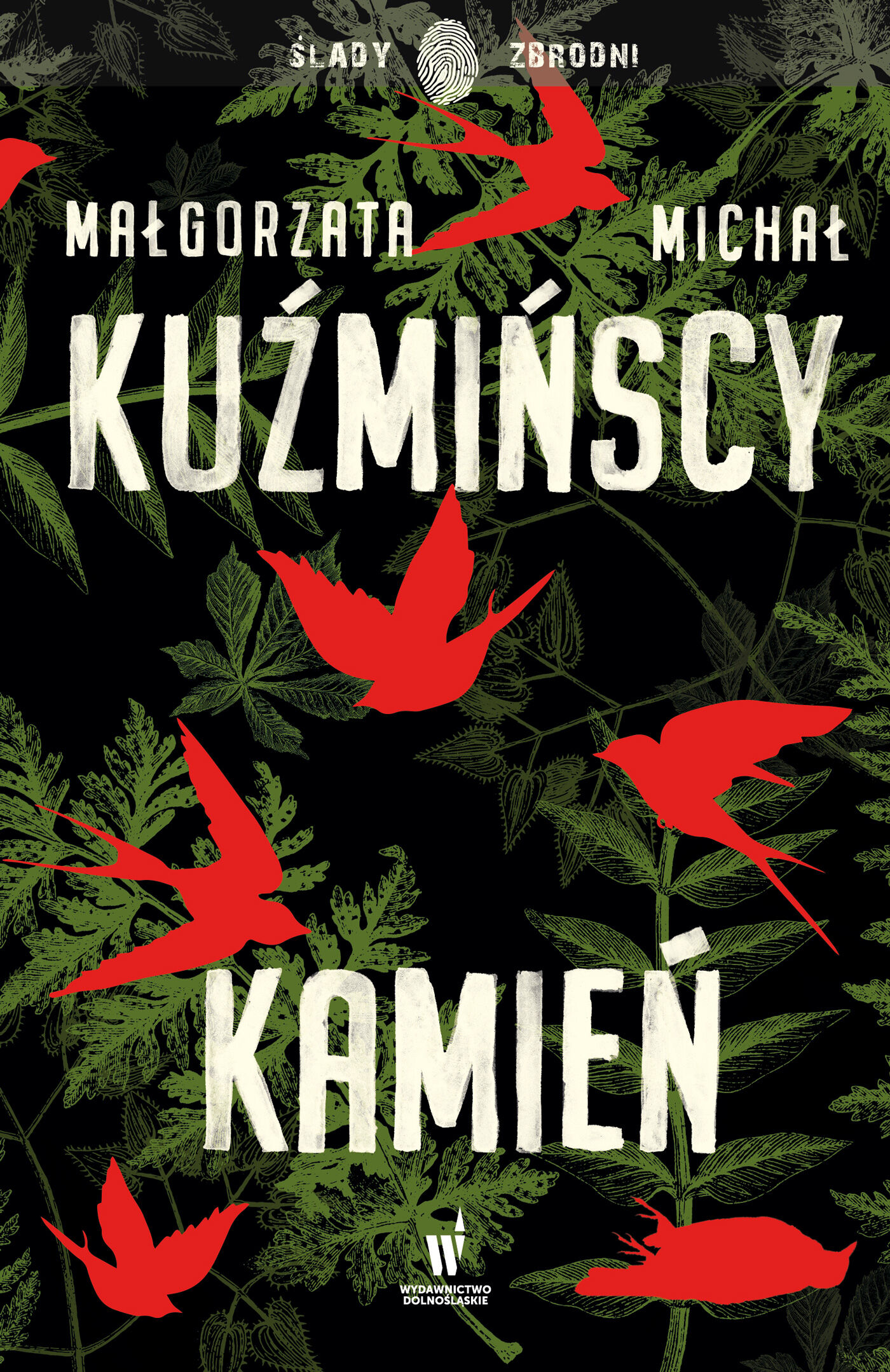 Kamień (e-book)