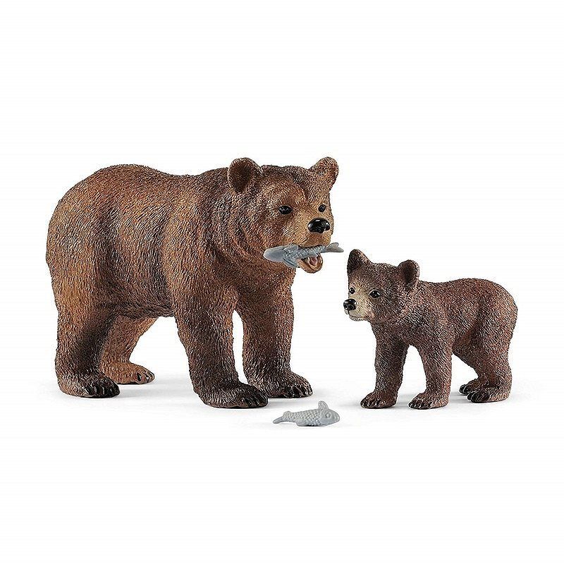 Matka grizzly z małym niedźwiedziem slh42473