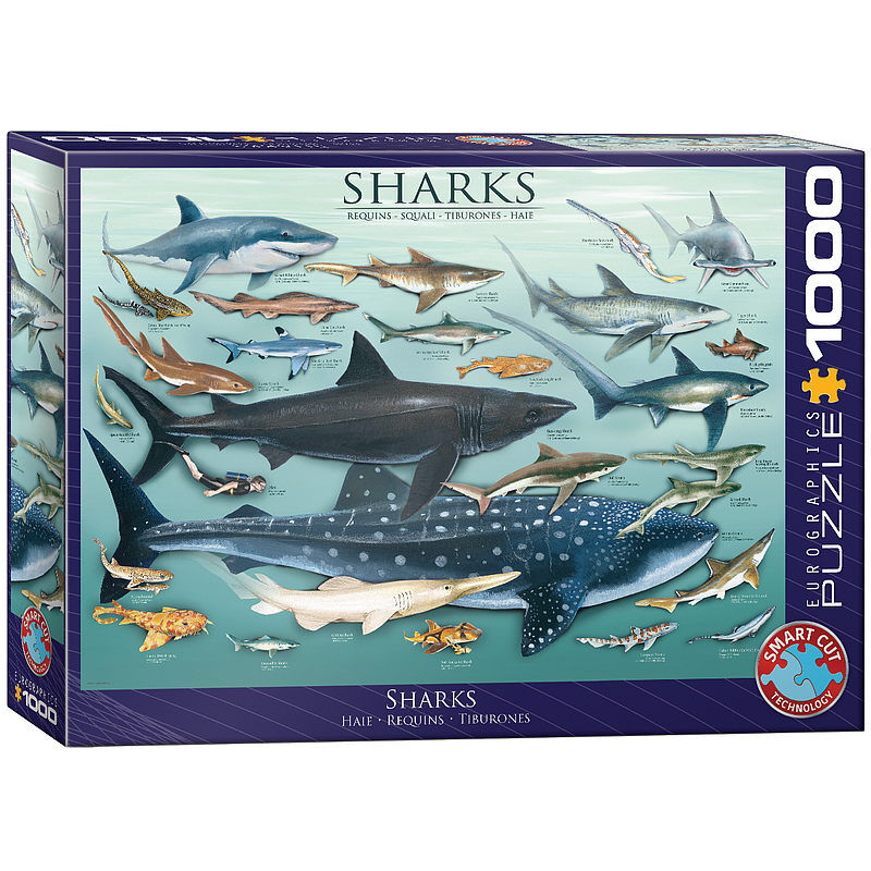 Puzzle 1000 rekiny 6000-0079