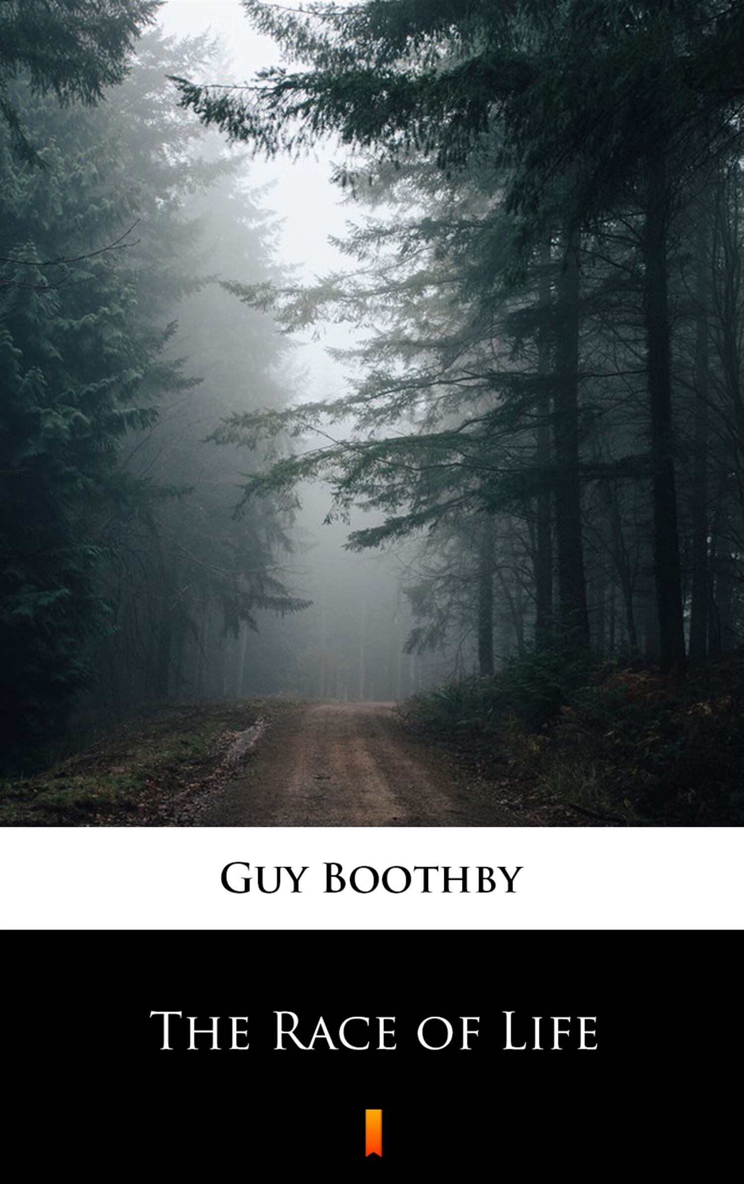 The Race of Life (e-book)