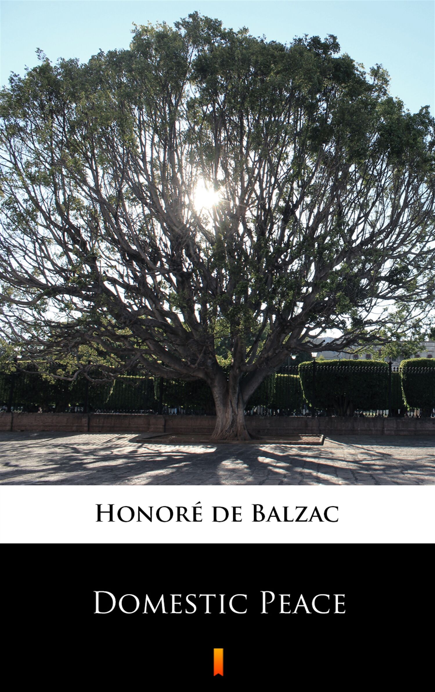 Domestic Peace (e-book)
