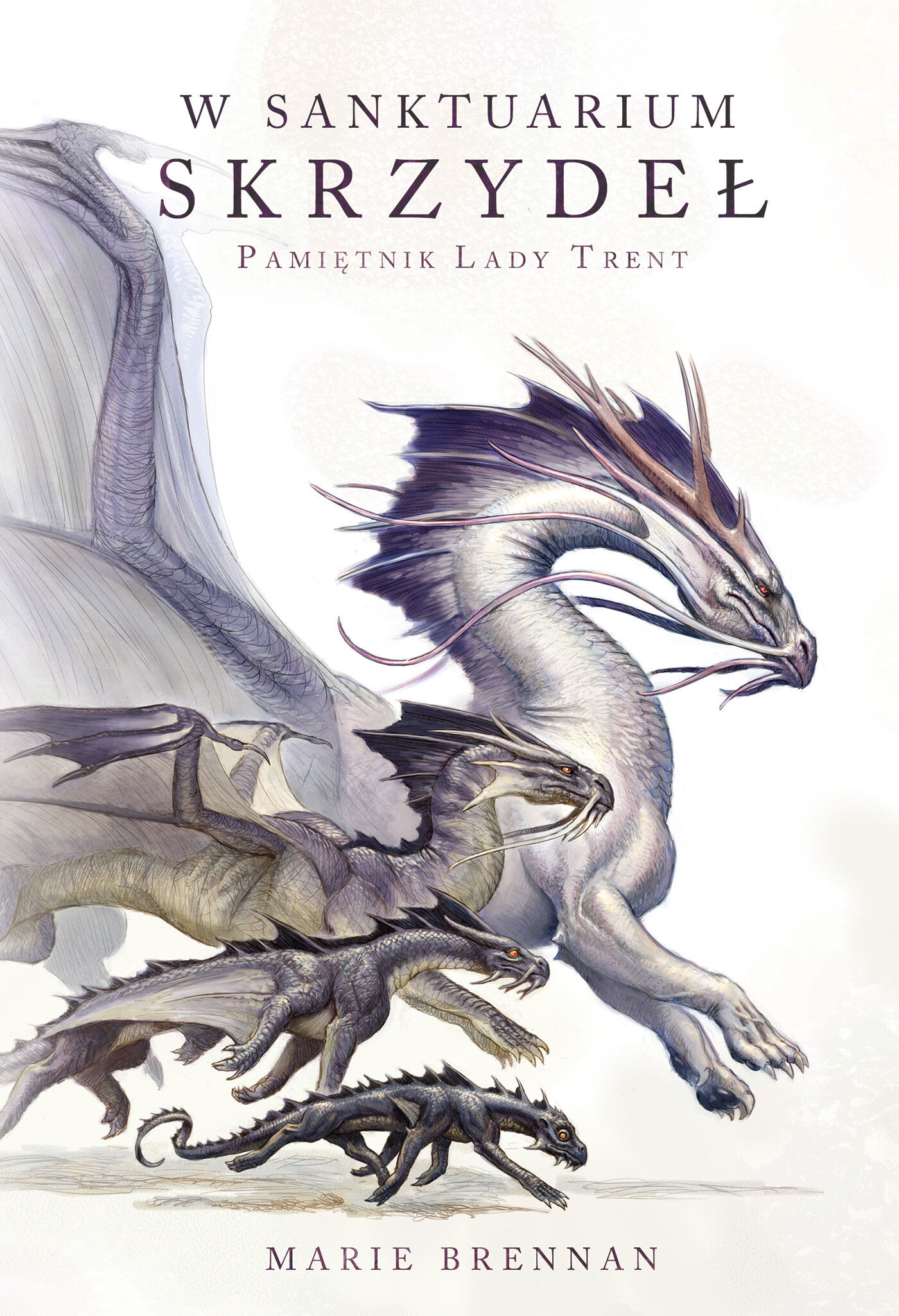 W Sanktuarium Skrzydeł (e-book)
