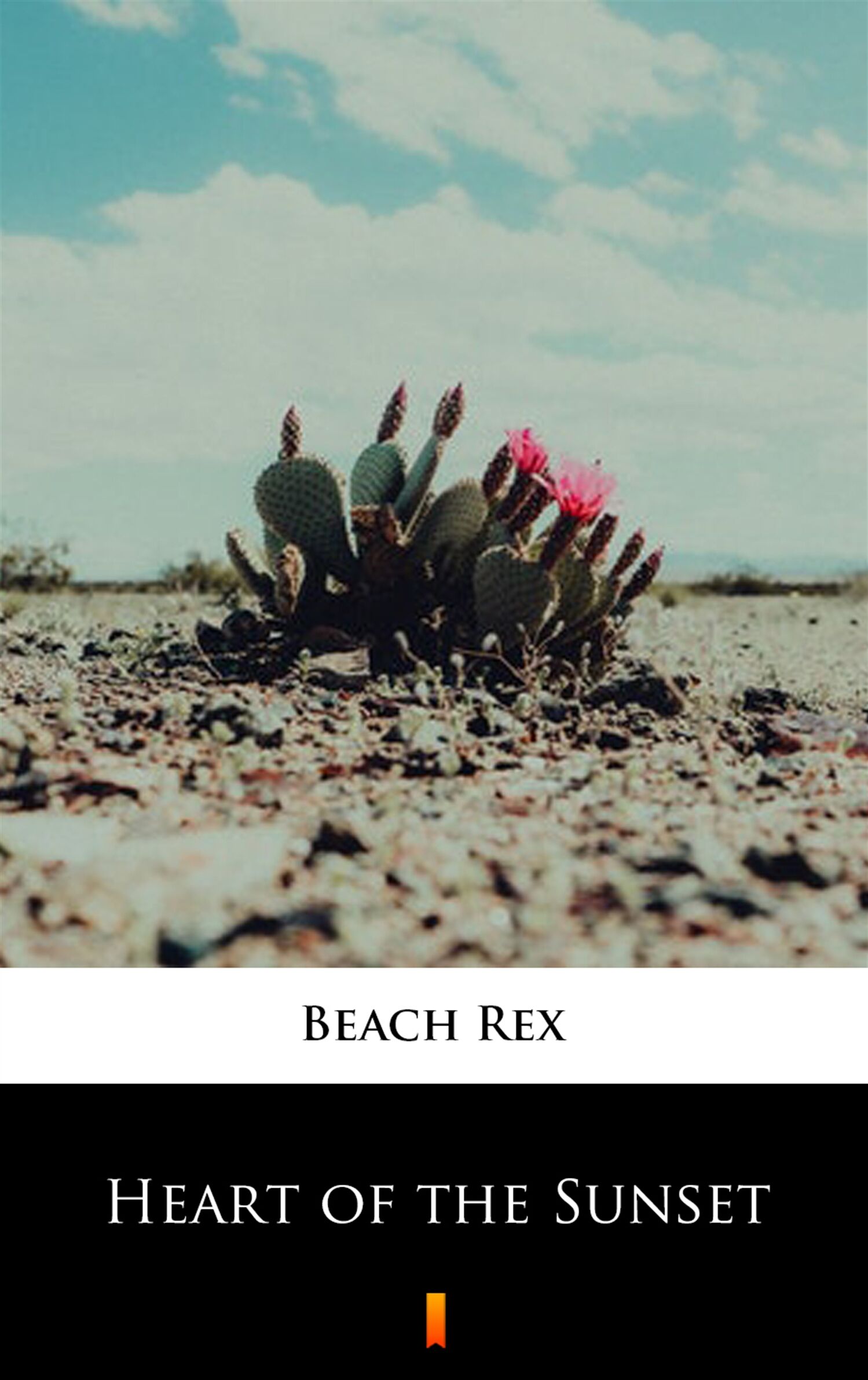 Heart of the Sunset (e-book)