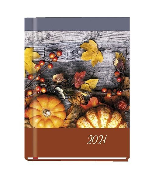 Terminarz 2021 ola mip 06
