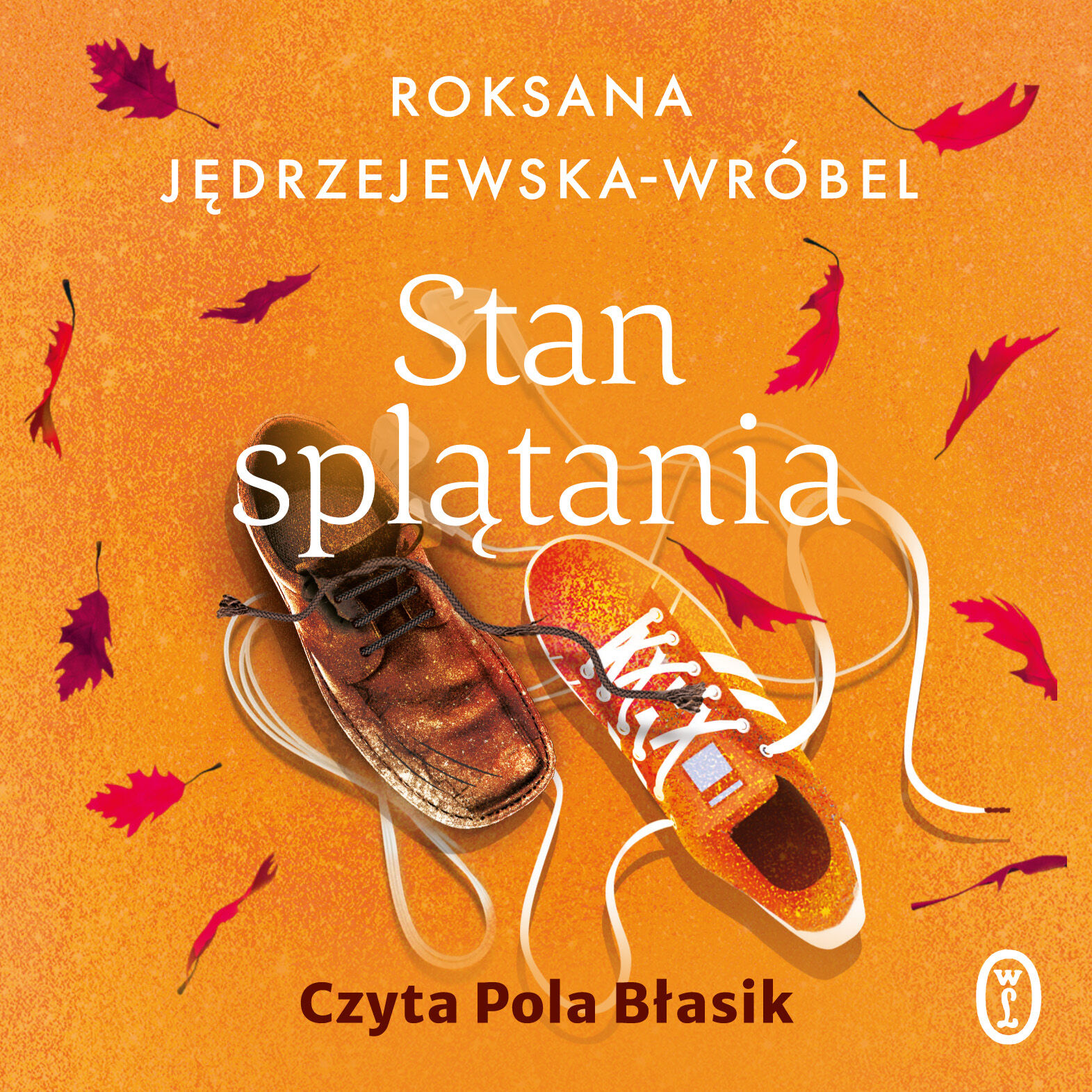 Stan splątania (audiobook MP3)
