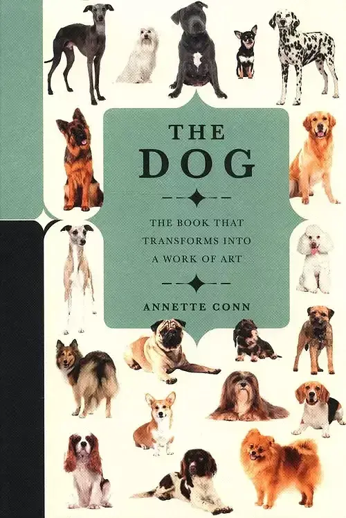 The Dog