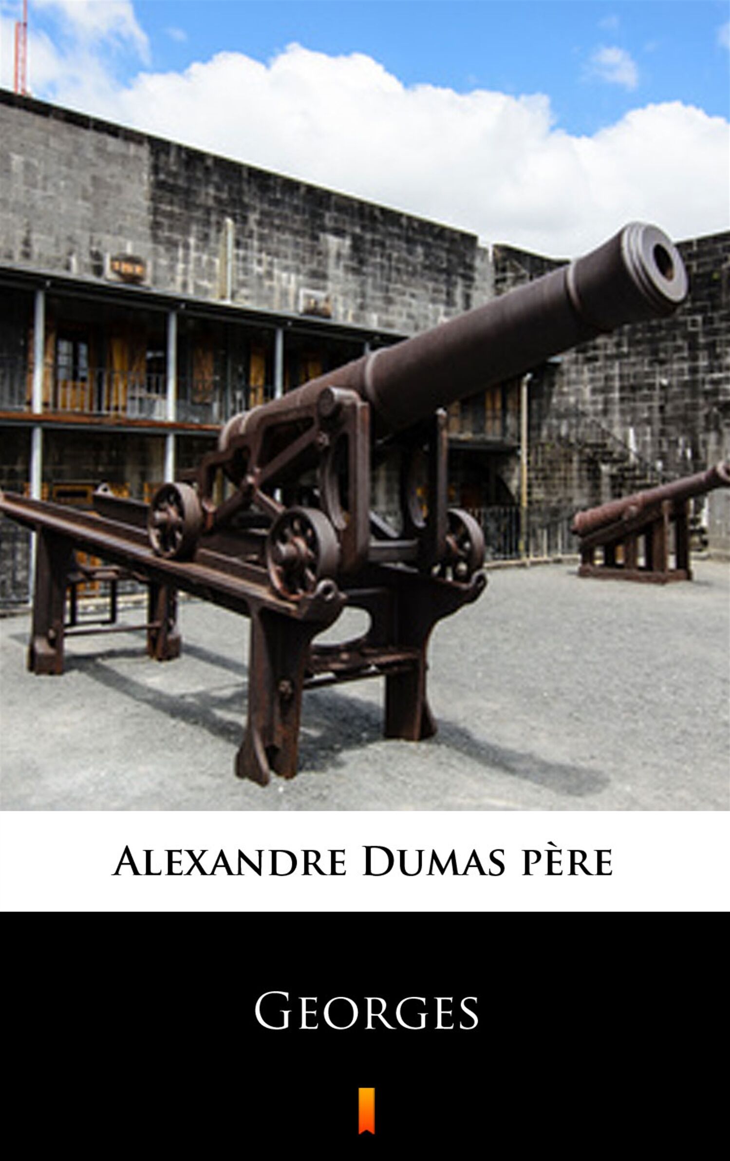 Georges (e-book)