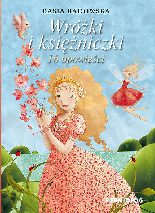 Wróżki i księżniczki 16 opowieści