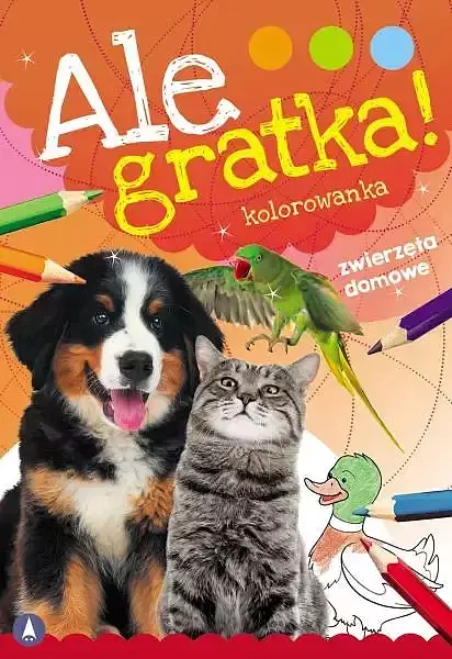 Zwierzęta domowe. Ale gratka!