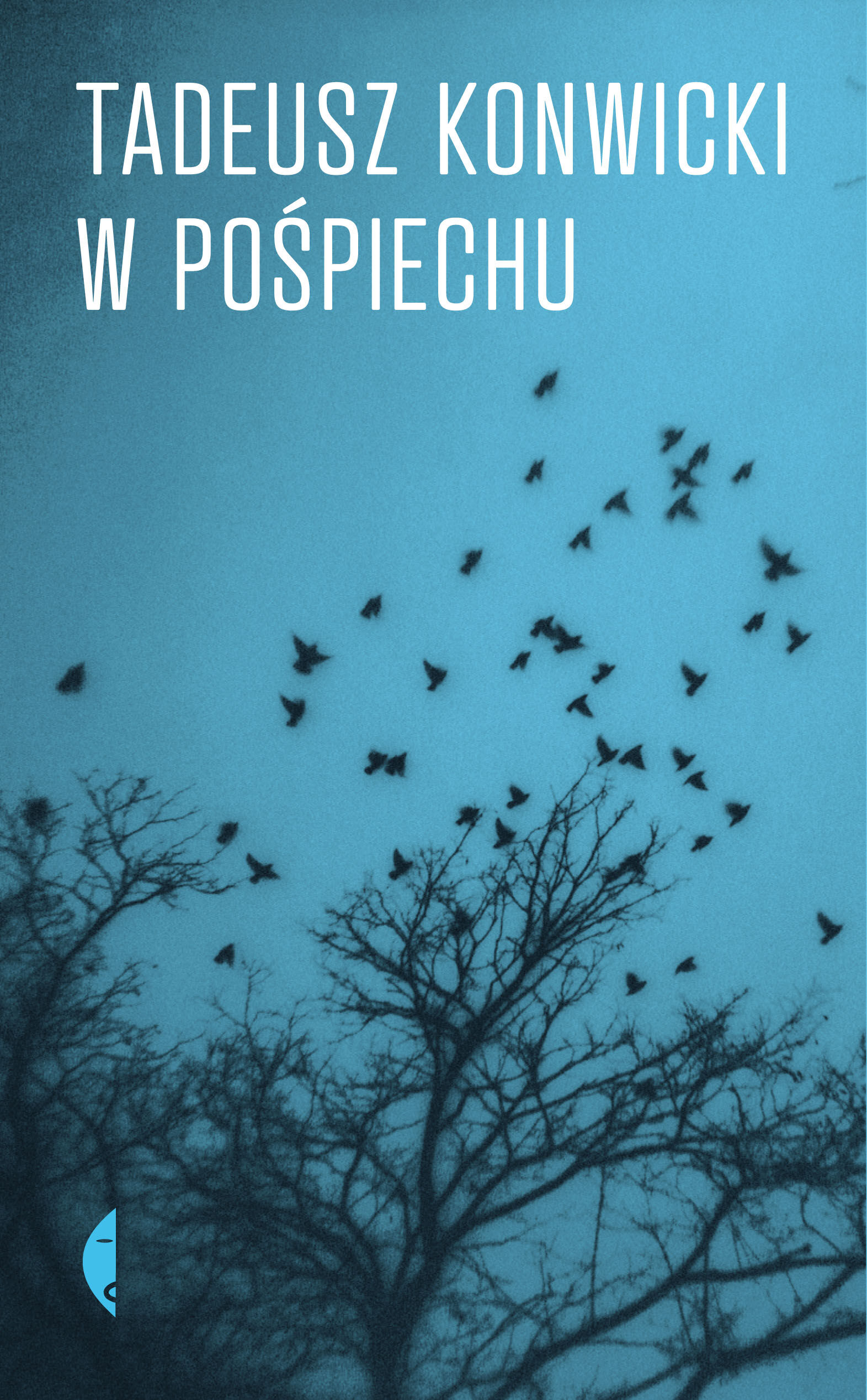 W pośpiechu (e-book)